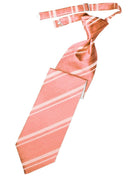 Cardi Coral Reef Striped Satin Kids Necktie