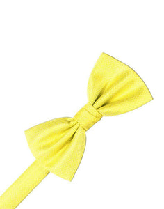 Cardi Sunbeam Herringbone Kids Bow Tie