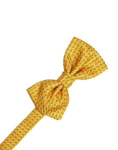 Cardi Gold Venetian Kids Bow Tie
