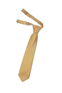 Cardi Pre-Tied Gold Regal Kids Necktie