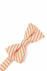 Cardi Pre-Tied Orange Newton Stripe Kids Bow Tie