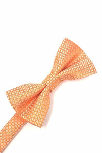 Cardi Pre-Tied Orange Regal Kids Bow Tie