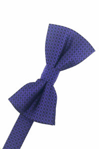Cardi Pre-Tied Purple Regal Kids Bow Tie