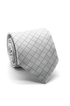 Ferrecci Grey Willows Necktie